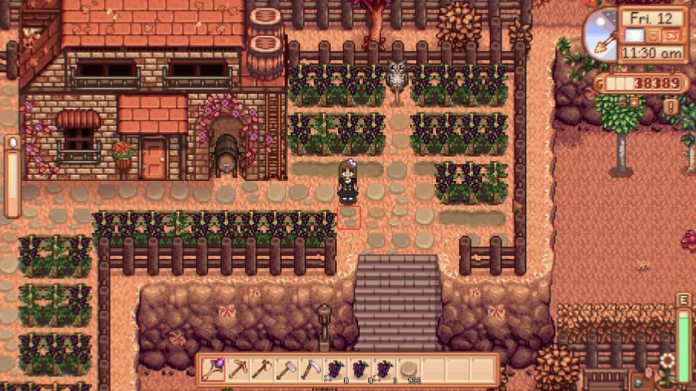 always grapes stardew valley mod download free